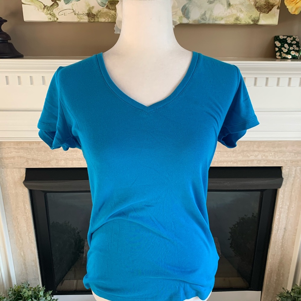 GAP Super Soft Royal Blue V-Neck (Size Medium)
